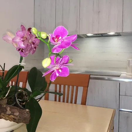 Casa Eva 아파트 비비오네